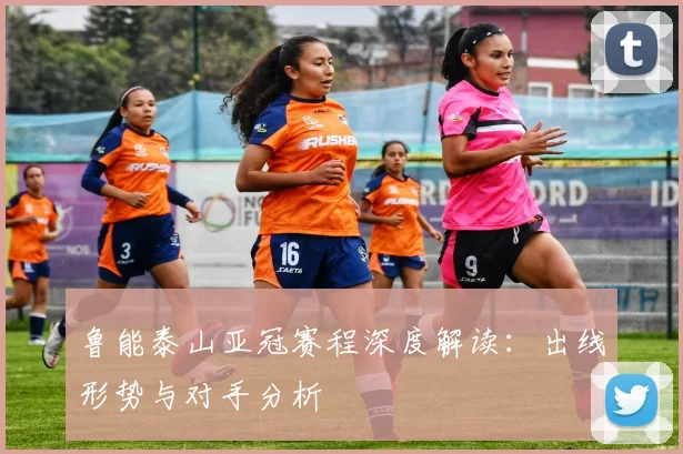 鲁能泰山亚冠赛程深度解读：出线形势与对手分析
