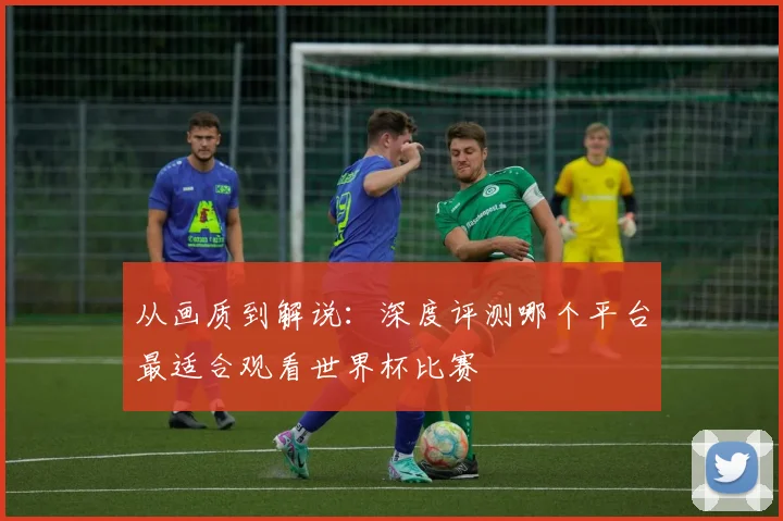 从画质到解说：深度评测哪个平台最适合观看世界杯比赛