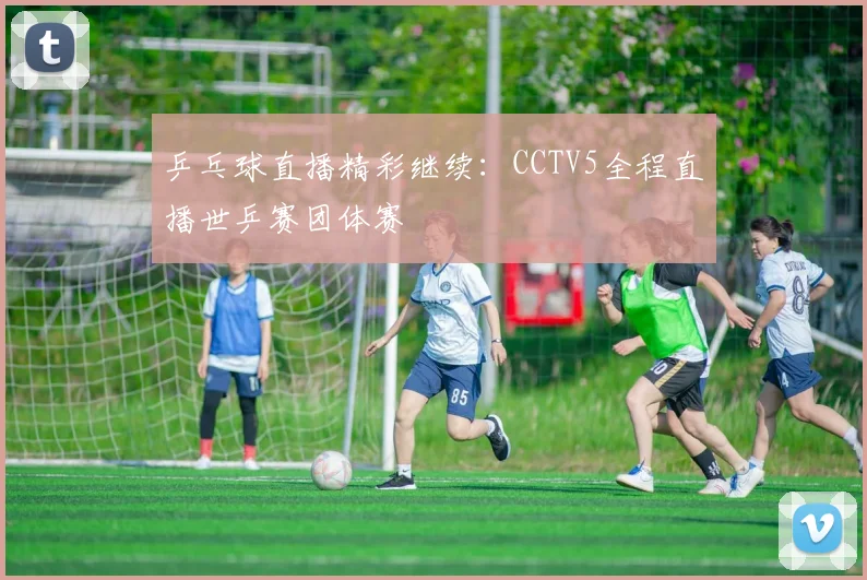 乒乓球直播精彩继续:CCTV5全程直播世乒赛团体赛