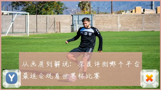 从画质到解说：深度评测哪个平台最适合观看世界杯比赛