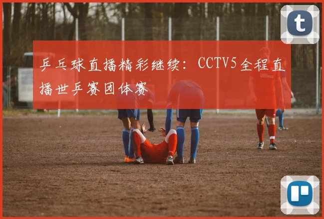 乒乓球直播精彩继续:CCTV5全程直播世乒赛团体赛
