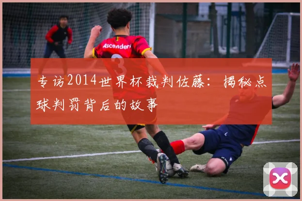 专访2014世界杯裁判佐藤：揭秘点球判罚背后的故事