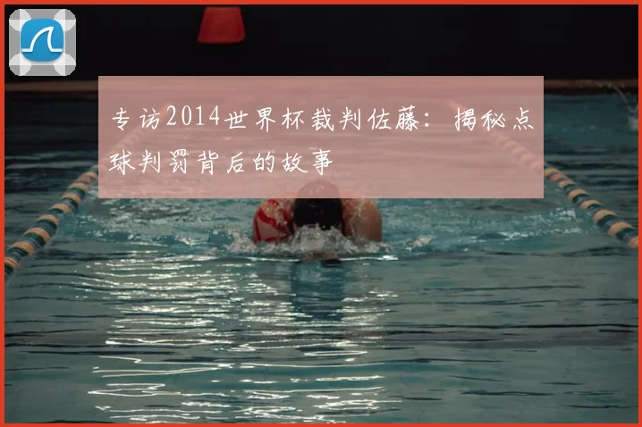 专访2014世界杯裁判佐藤：揭秘点球判罚背后的故事
