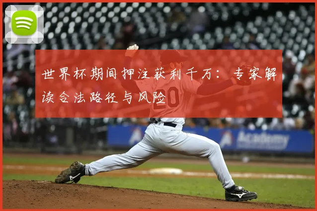 世界杯期间押注获利千万：专家解读合法路径与风险